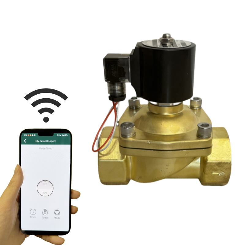Brass App Timer Control Solenoid Valve
